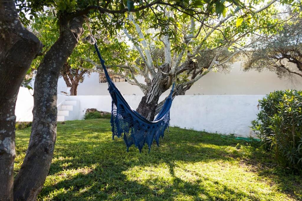 Horta Das Laranjas Serpa Luaran gambar