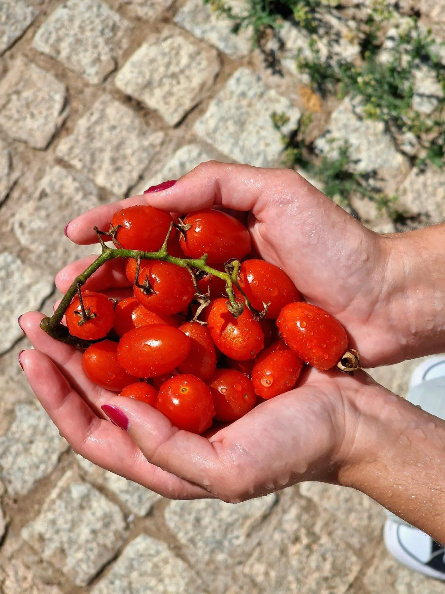 Horta Das Laranjas Serpa Luaran gambar